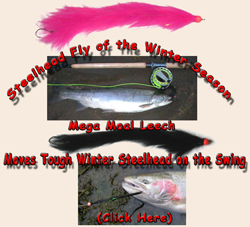 Mega Moal, Steelhead flies