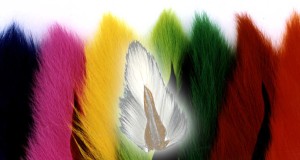 Bucktail