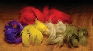 Duck Feathers (Mallard Flank...)