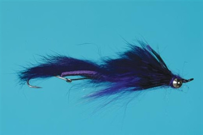 Loop Leech