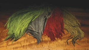 Saddle Hackles