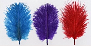 Spey Hackle