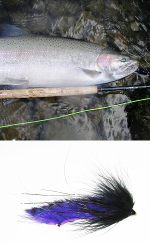 Tandem Tube Flies