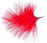 Nature's Spirit Marabou - Strung Plumes